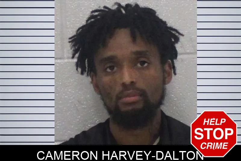 Cameron Harvey-Dalton Mugshots