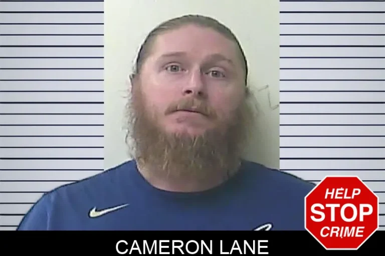 Cameron Lane