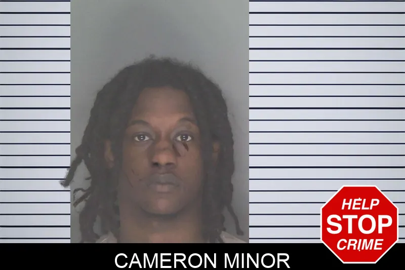 Cameron Minor Mugshots