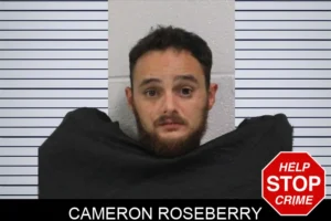 Cameron Roseberry mugshot