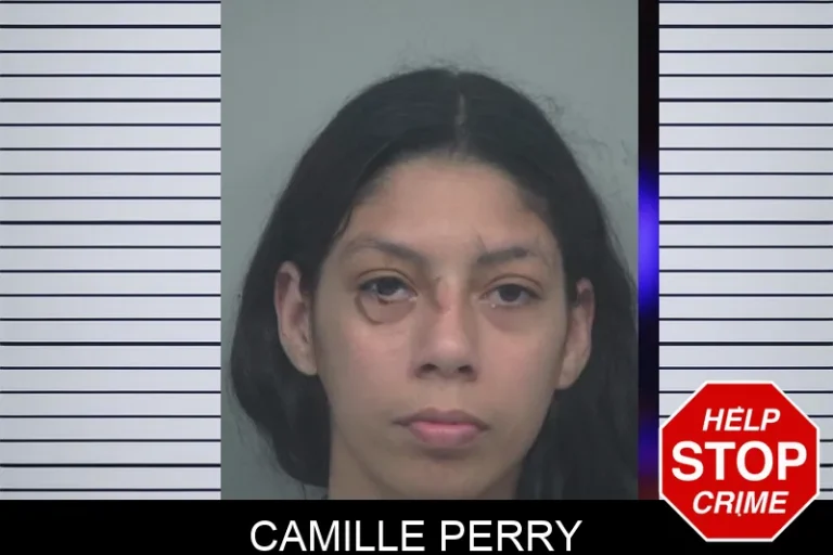 Camille Perry mugshot – Gwinnett County , Georgia Camille Perry