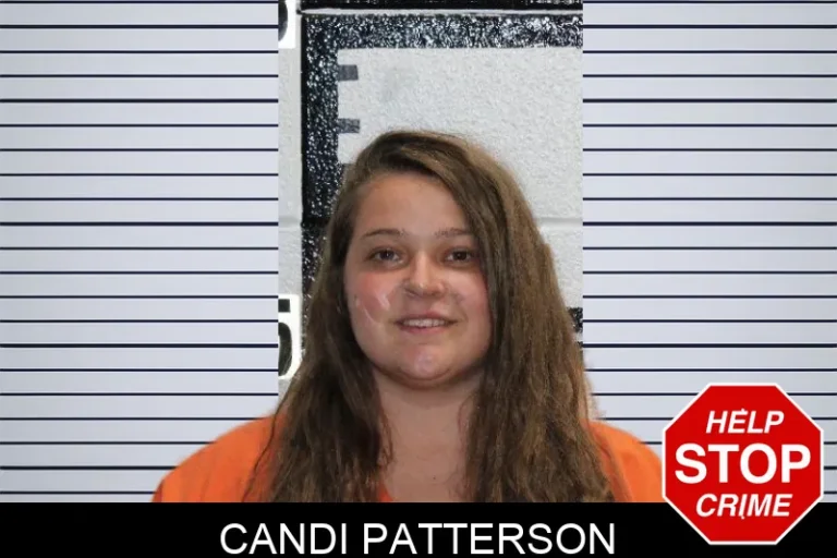 Candi Patterson mugshot – Murray County , Georgia Candi Patterson