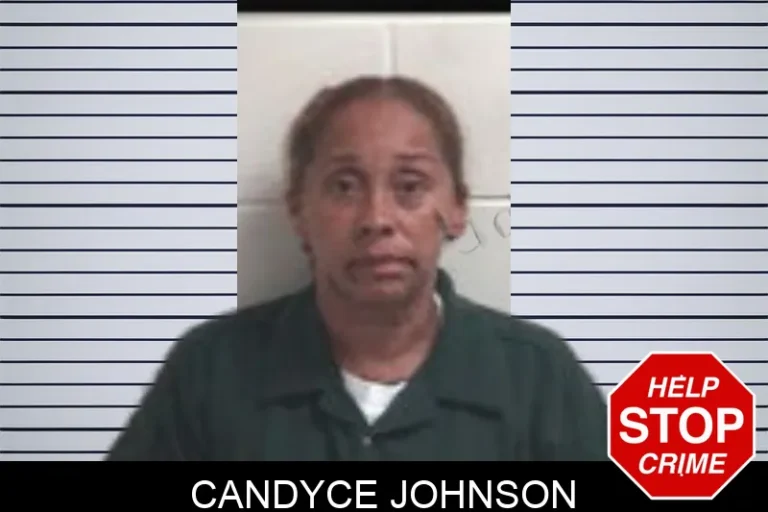 Candyce Johnson mugshot – Henry County , Georgia Candyce Johnson