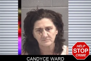 Candyce Ward mugshot