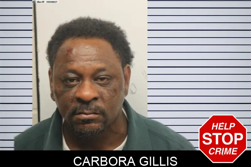 Carbora Gillis mugshot