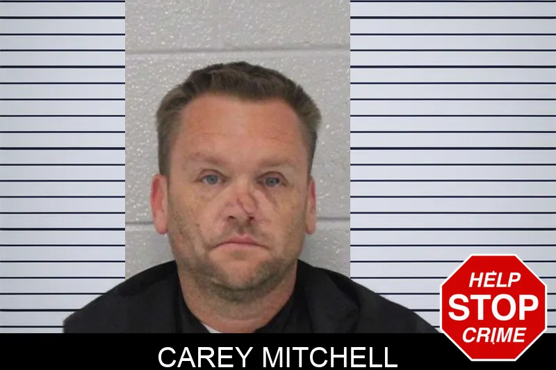 Carey Mitchell Mugshots