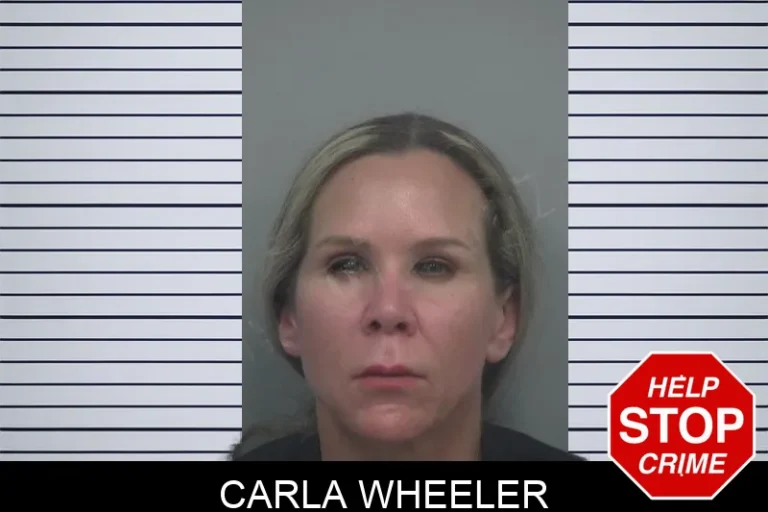 Carla Wheeler mugshot – Gwinnett County , Georgia Carla Wheeler