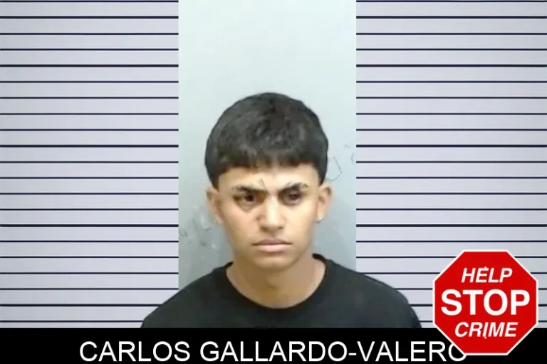 Carlos Gallardo-Valero mugshot – Fulton County , Georgia Carlos Gallardo-Valero