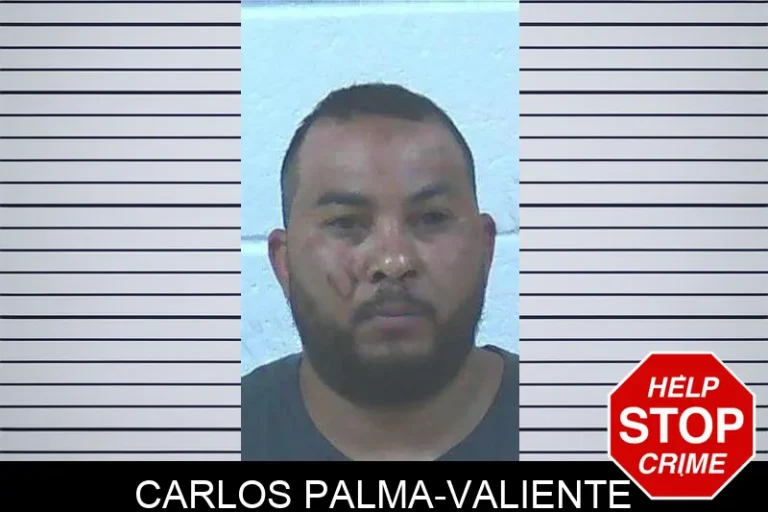 Carlos Palma-Valiente