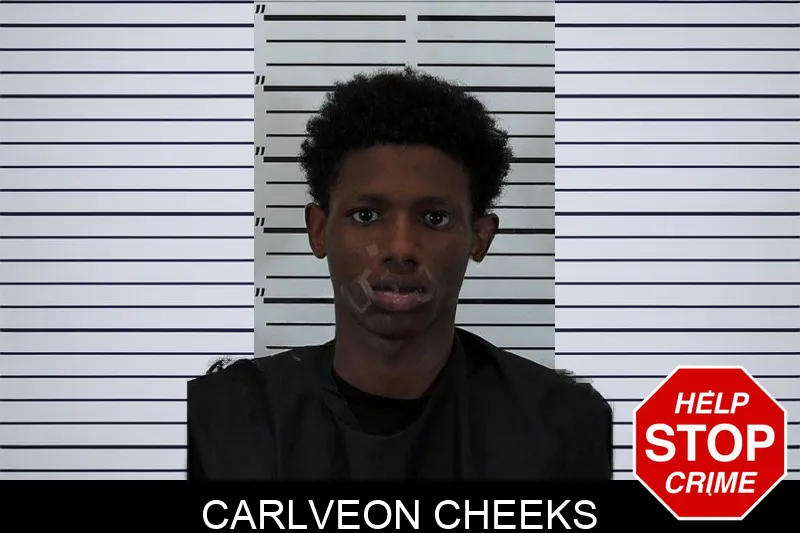 Carlveon Cheeks mugshot – Hart County , Georgia Carlveon Cheeks mugshot