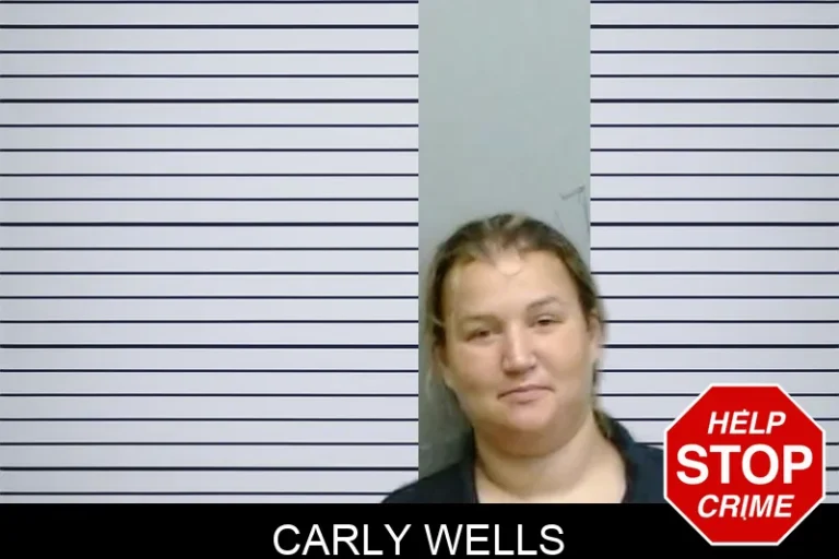 Carly Wells mugshot – Fulton County , Georgia Carly Wells