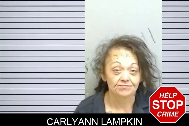 Carlyann Lampkin mugshot