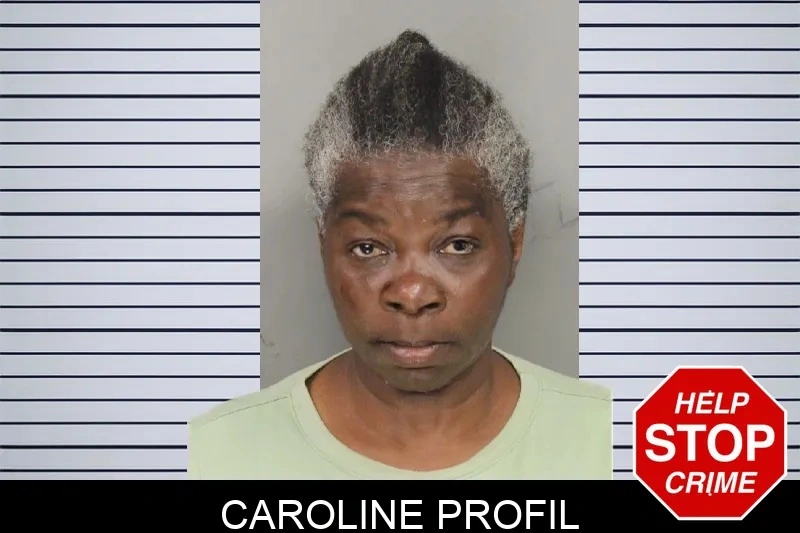Caroline Profil mugshot – Cobb County , Georgia Caroline Profil mugshot