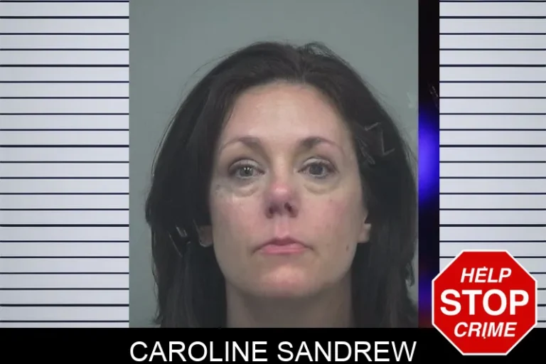 Caroline Sandrew mugshot – Gwinnett County , Georgia Caroline Sandrew