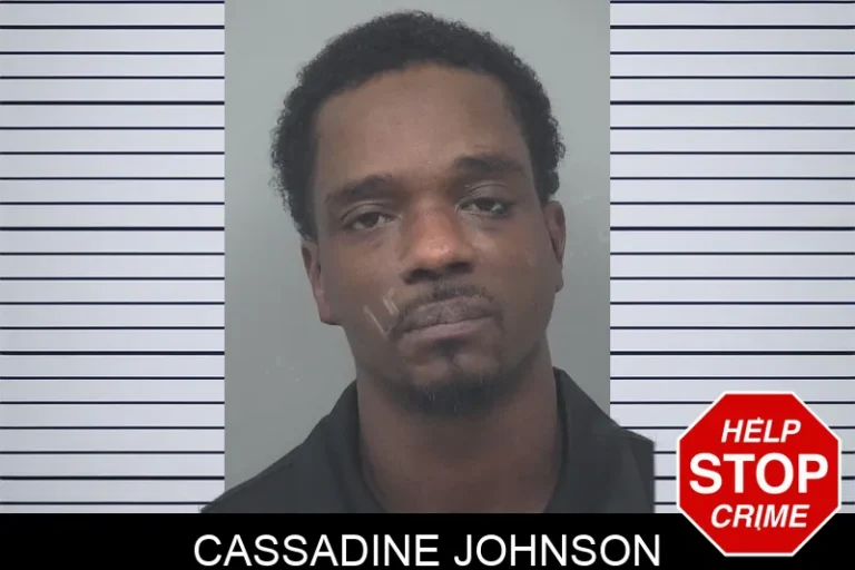 Cassadine Johnson