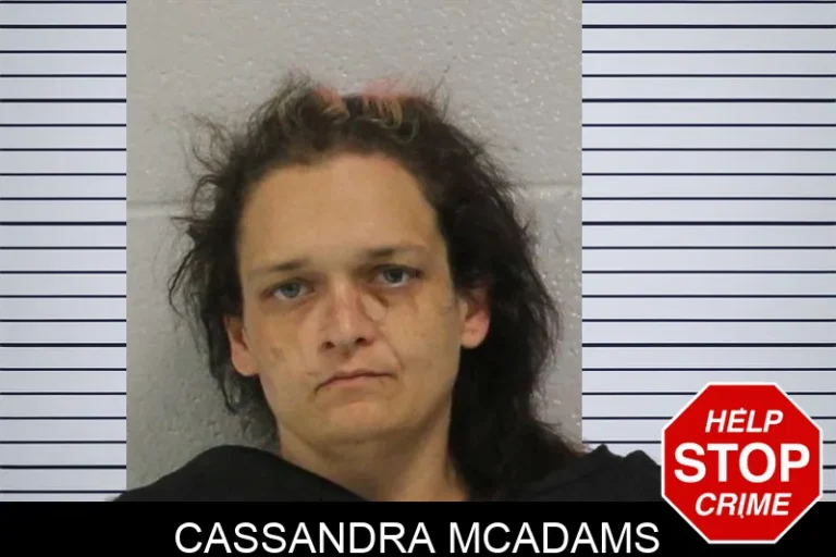 Cassandra McAdams