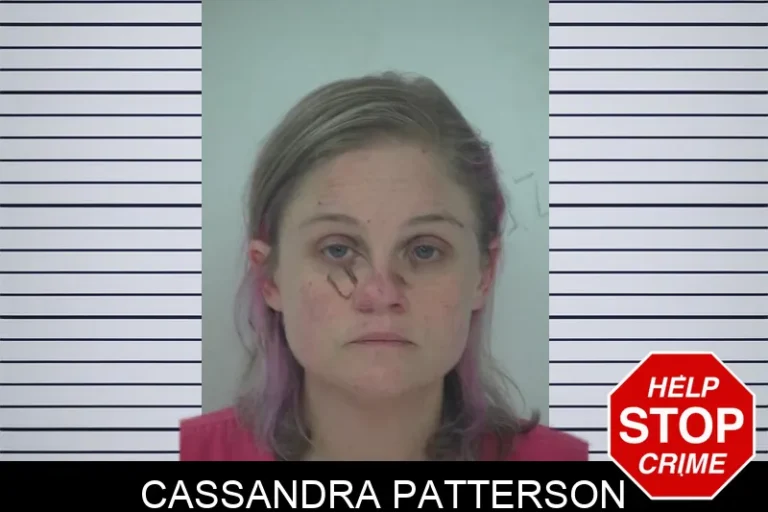 Cassandra Patterson mugshot – Fayette County , Georgia Cassandra Patterson