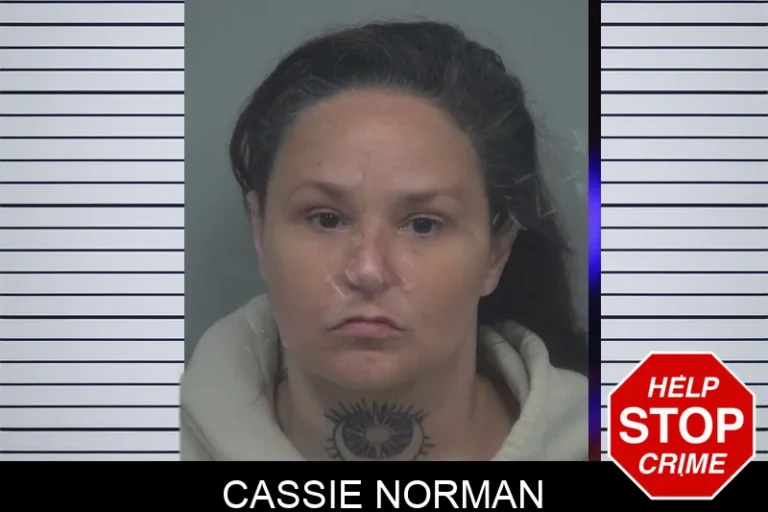 Cassie Norman mugshot – Gwinnett County , Georgia Cassie Norman