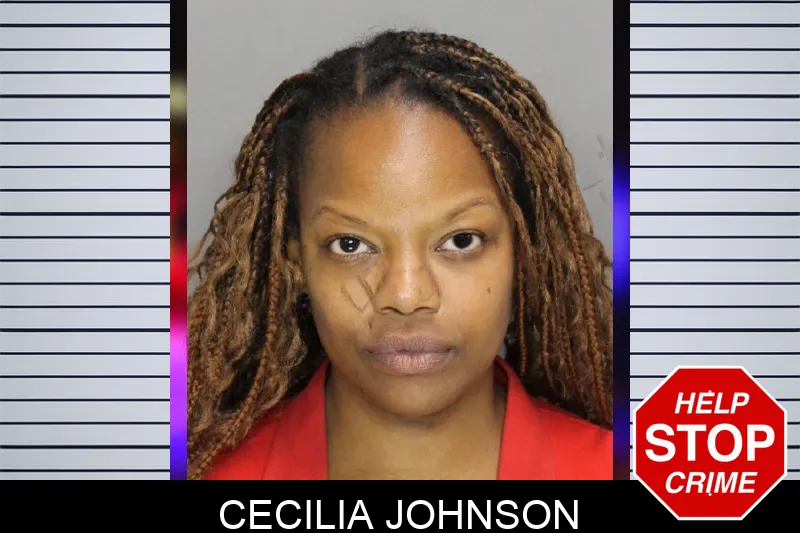 Cecilia Johnson mugshot – Cobb County , Georgia Cecilia Johnson mugshot
