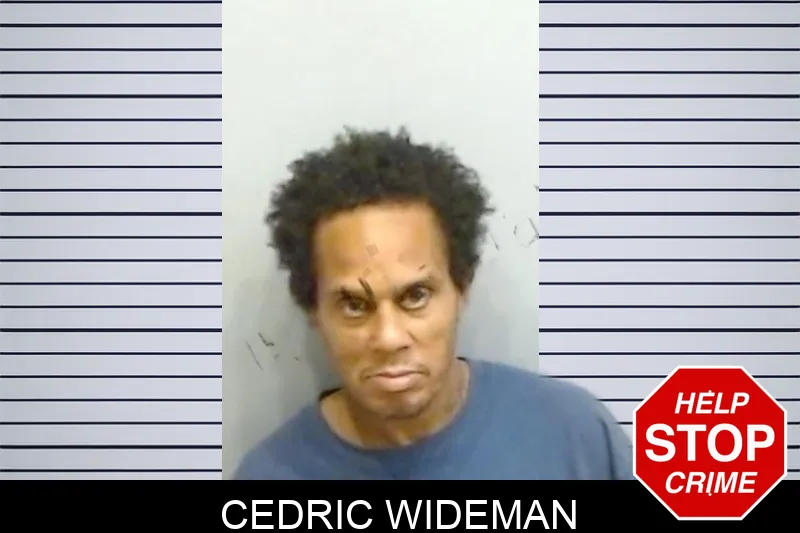 Cedric Wideman Mugshots