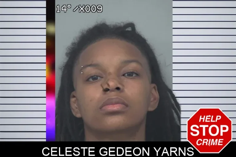 Celeste Gedeon Yarns