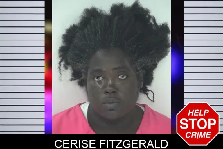 Cerise Fitzgerald mugshot – Fayette County , Georgia Cerise Fitzgerald