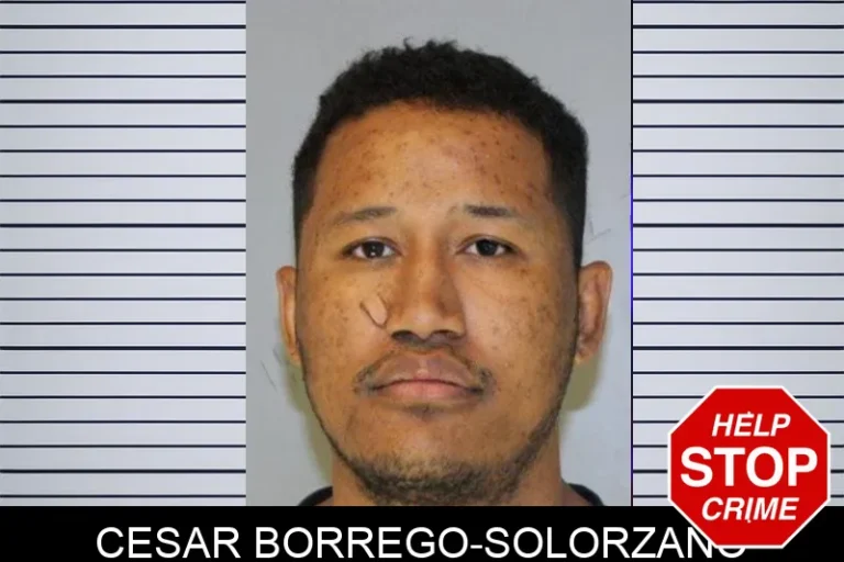 Cesar Borrego-Solorzano