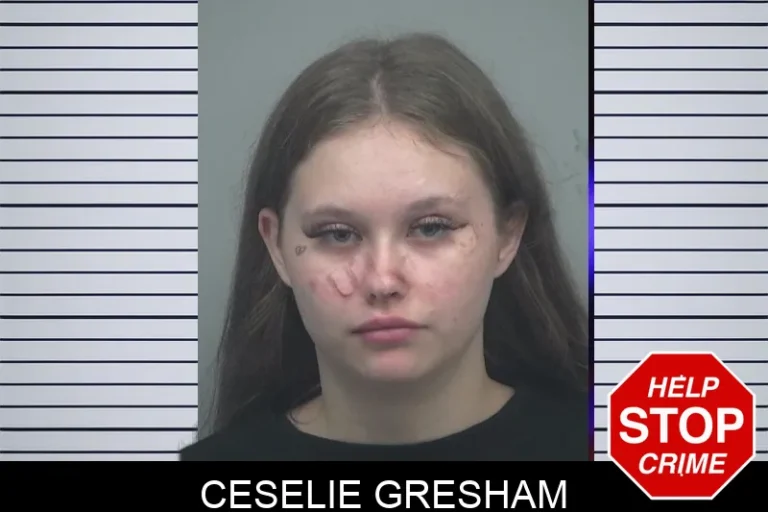 Ceselie Gresham mugshot – Gwinnett County , Georgia Ceselie Gresham
