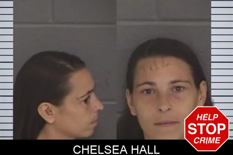 Chelsea Hall mugshot – Barrow County , Georgia Chelsea Hall