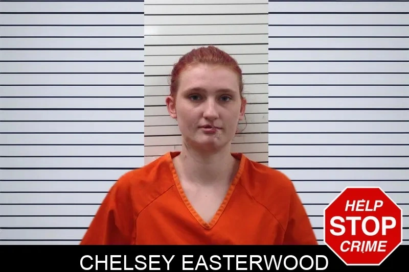 Chelsey Easterwood Mugshots