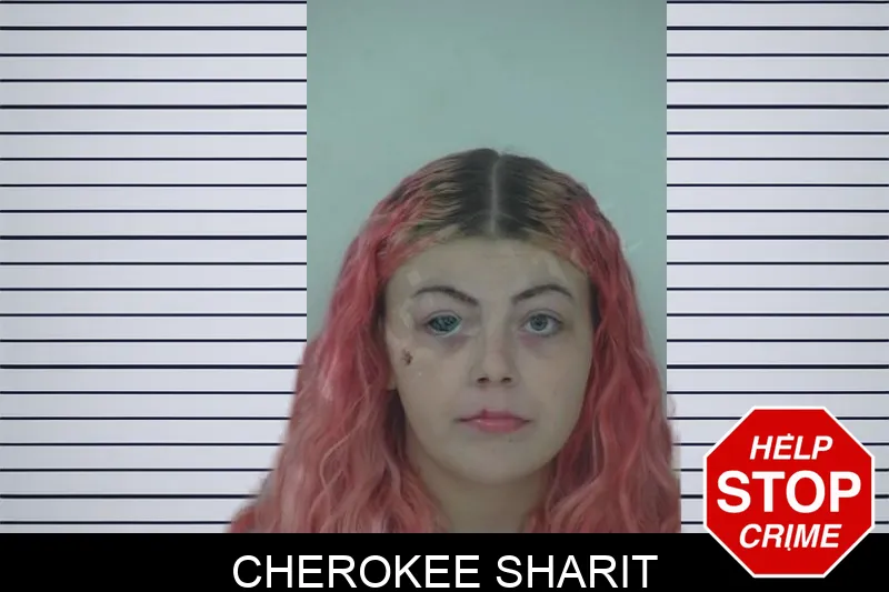 Cherokee Sharit mugshot – Fayette County , Georgia Cherokee Sharit mugshot