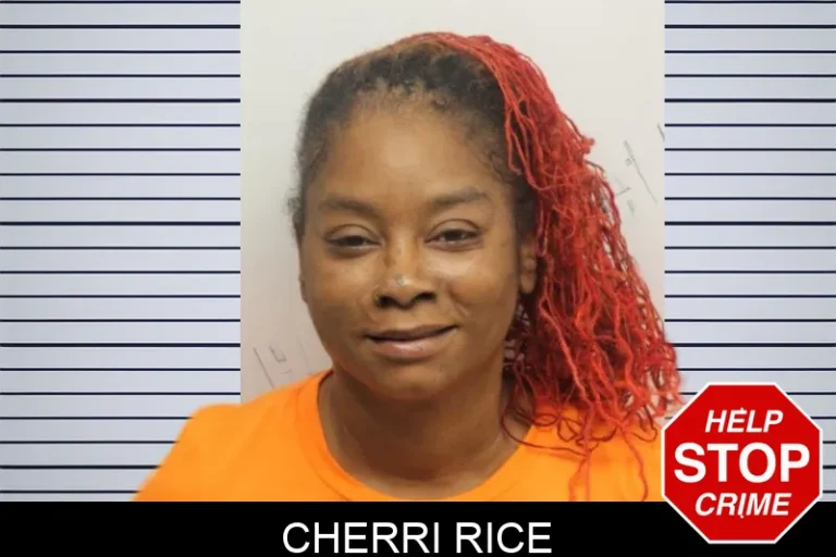 Cherri Rice mugshot – Chatham County , Georgia Cherri Rice