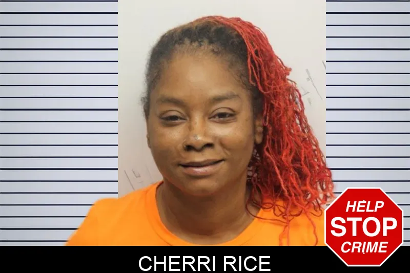 Cherri Rice Mugshots