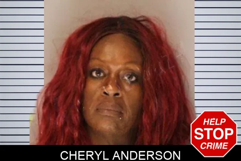 Cheryl Anderson mugshot – Hall County , Georgia Cheryl Anderson