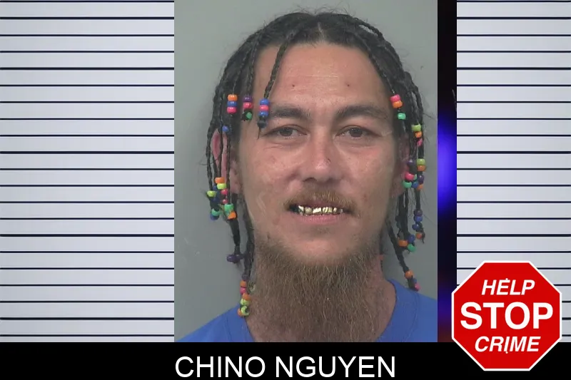 Chino Nguyen Mugshots