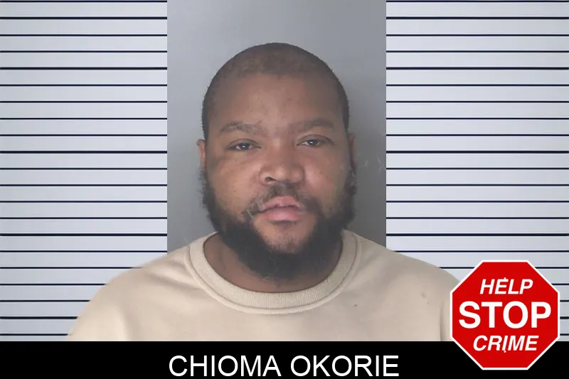 Chioma Okorie mugshot