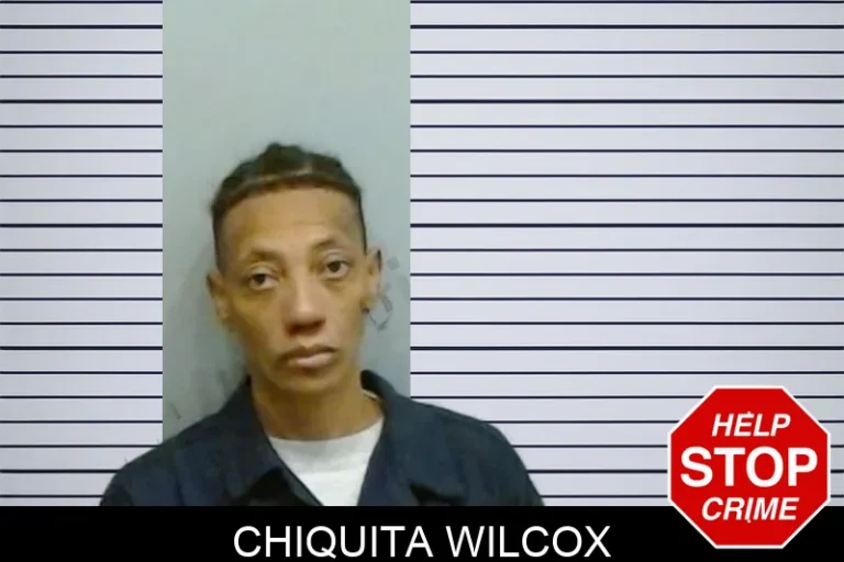 Chiquita Wilcox