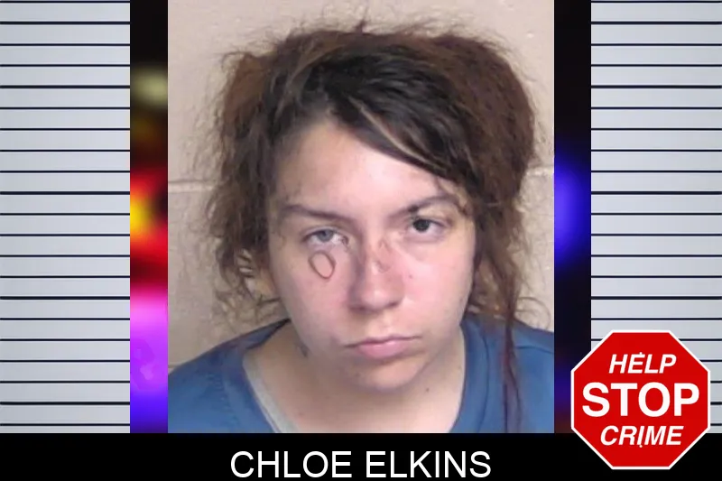 Chloe Elkins Mugshots
