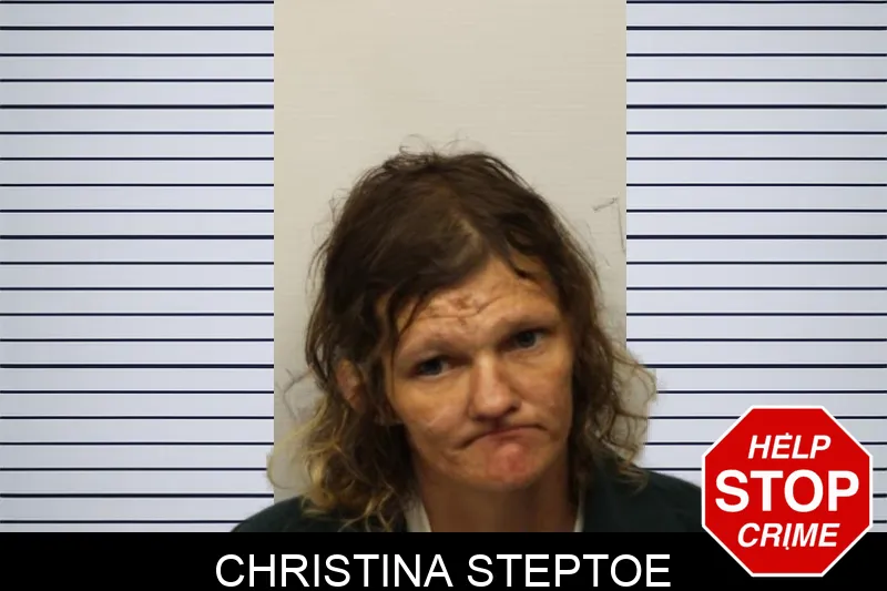 Christina Steptoe mugshot – Chatham County , Georgia Christina Steptoe mugshot
