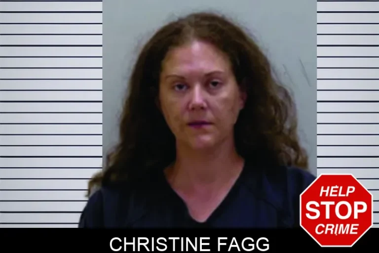 Christine Fagg