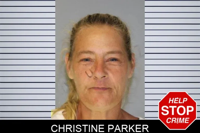 Christine Parker mugshot β Hall County , Georgia Christine Parker