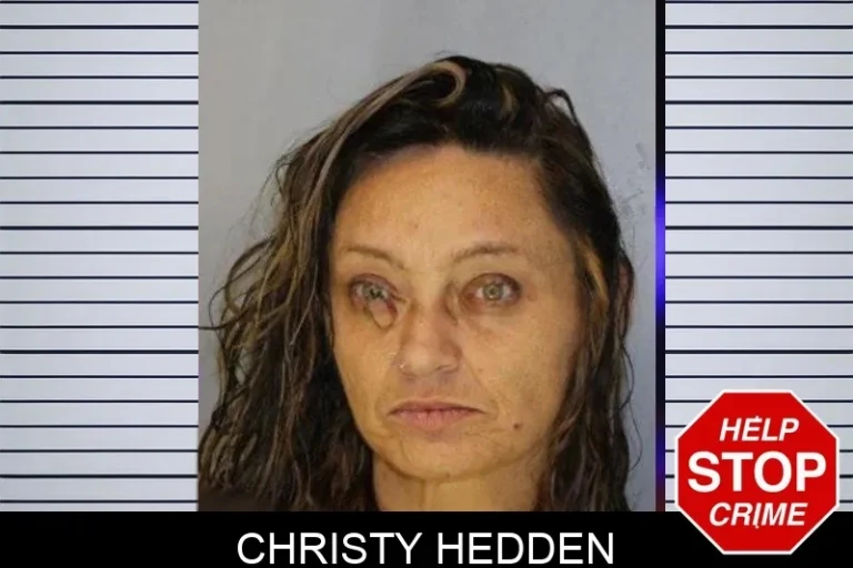 Christy Hedden mugshot – Hall County , Georgia Christy Hedden