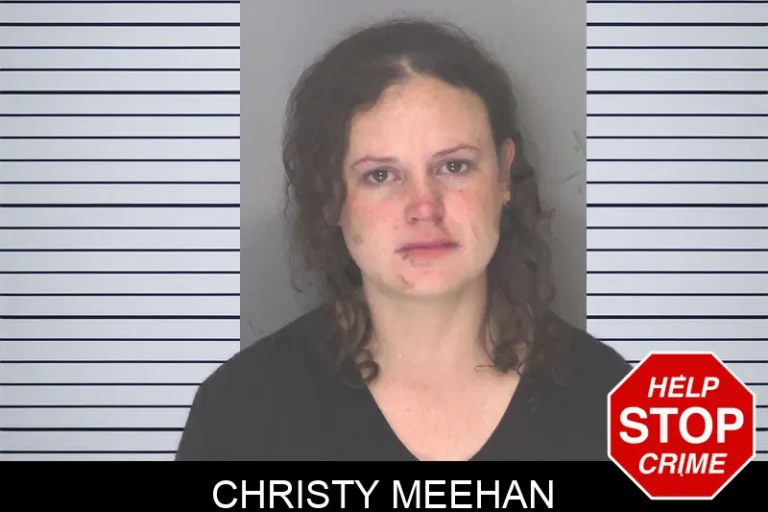 Christy Meehan mugshot – Douglas County , Georgia Christy Meehan