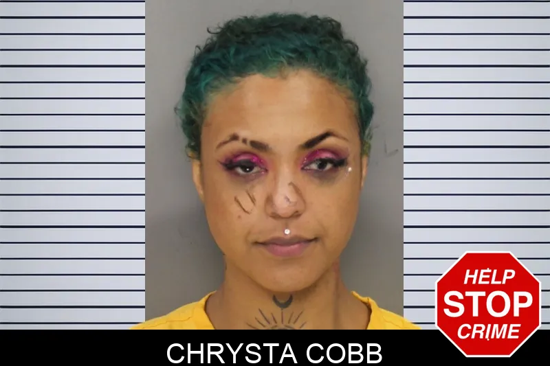 Chrysta Cobb Mugshots