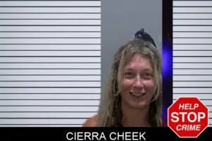 Cierra Cheek mugshot