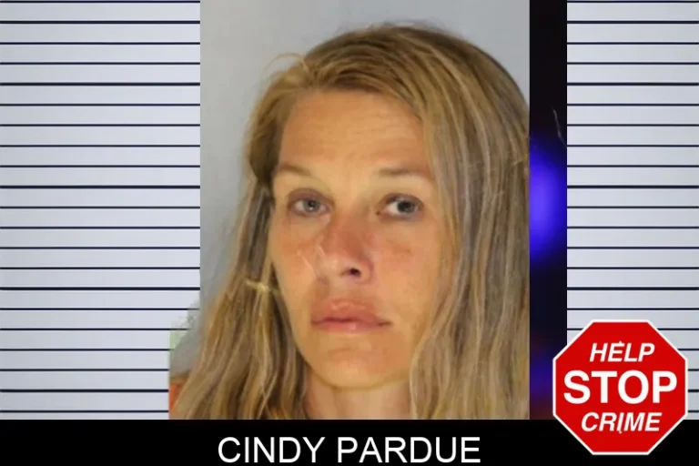 Cindy Pardue