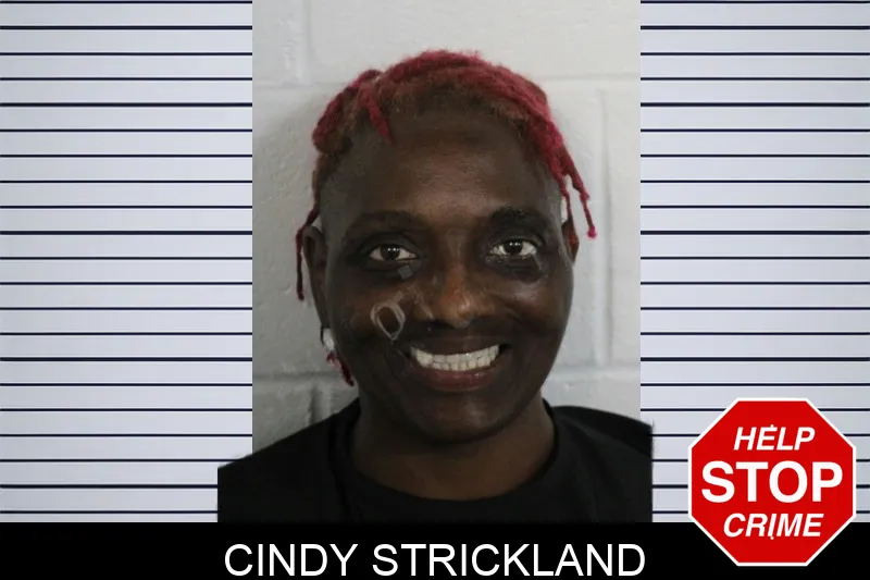 Cindy Strickland Mugshots