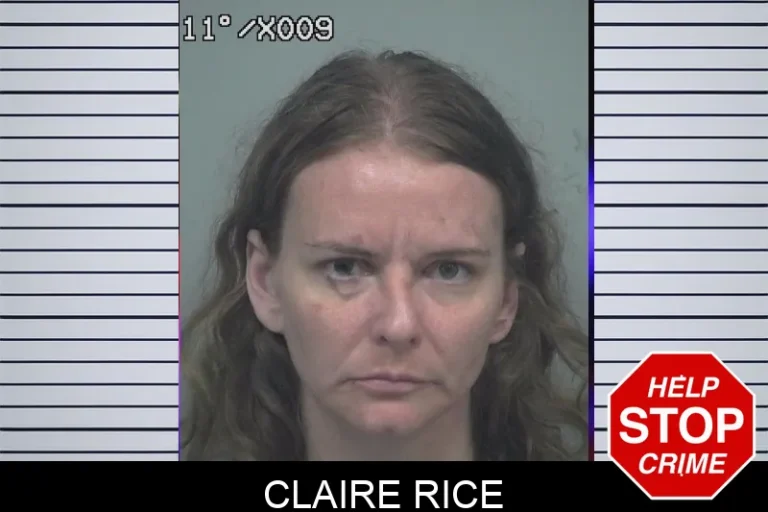 Claire Rice mugshot – Gwinnett County , Georgia Claire Rice