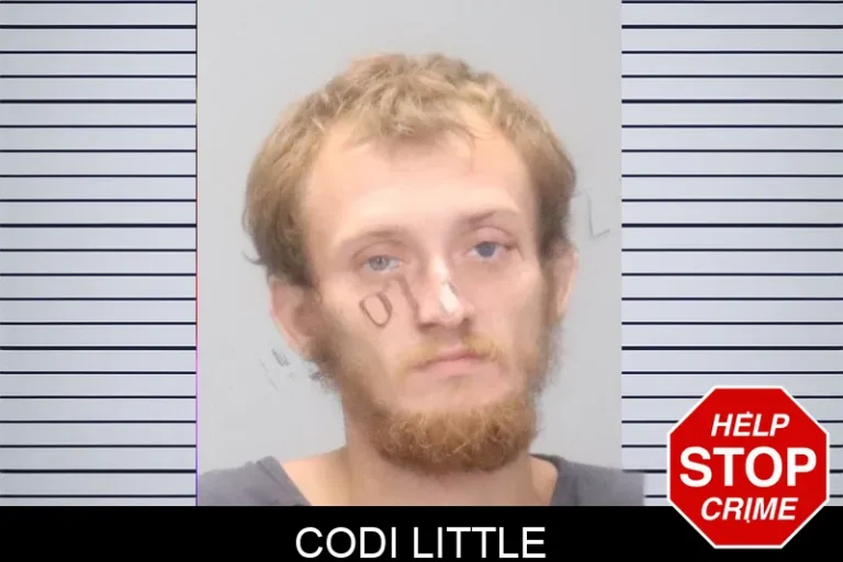 Codi Little