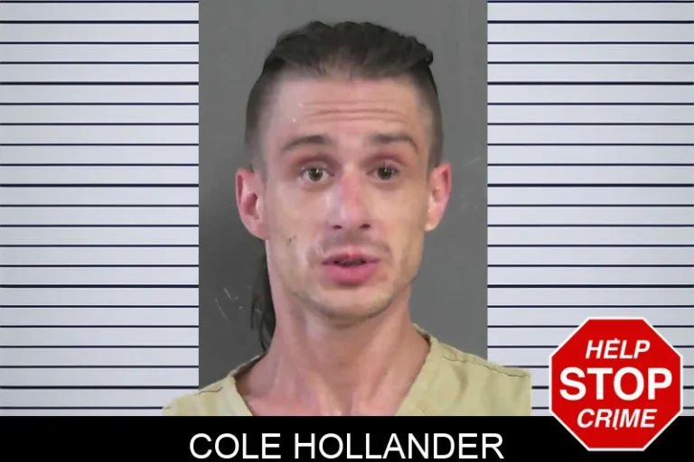 Cole Hollander